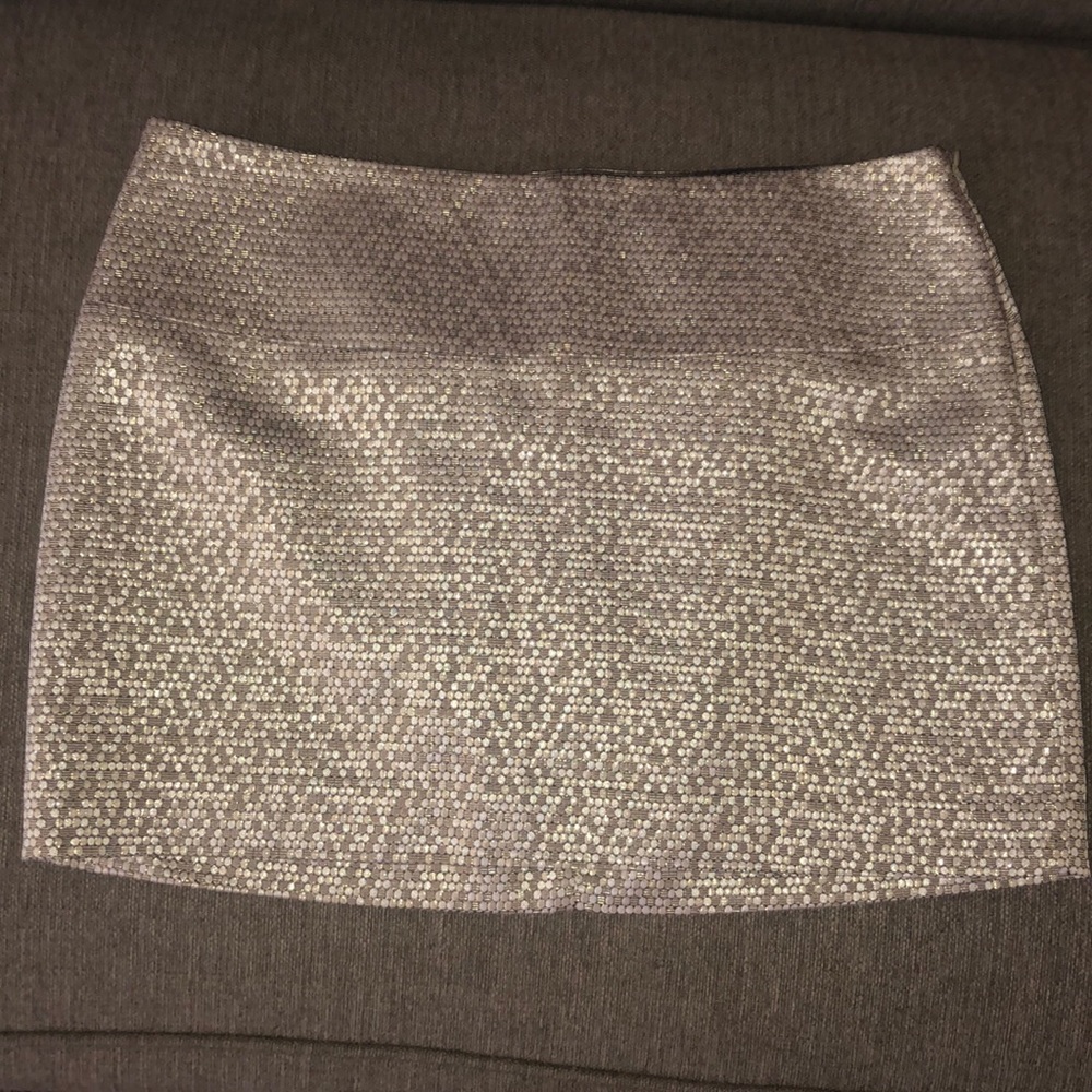 express dress skirt
